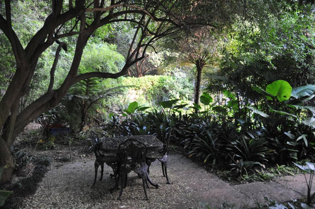 A Peaceful Retreat Bed & Breakfast Sandton Exteriör bild